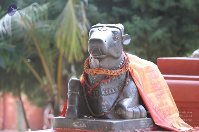 20140911 Photo 1031 12cUOSRPh1DtIJPHifM56Wpn4y0Qq -BM.JPG