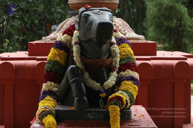 20140913 Photo 1047 1TYzVPlJdKoiETKU -DZEvu N8fspBdBM.JPG