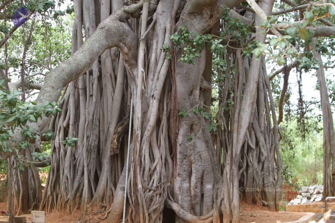 20140913 Photo 1065 1DF36zGSyge-Flpm0e1DxqlXkTpP3Qp2P.JPG