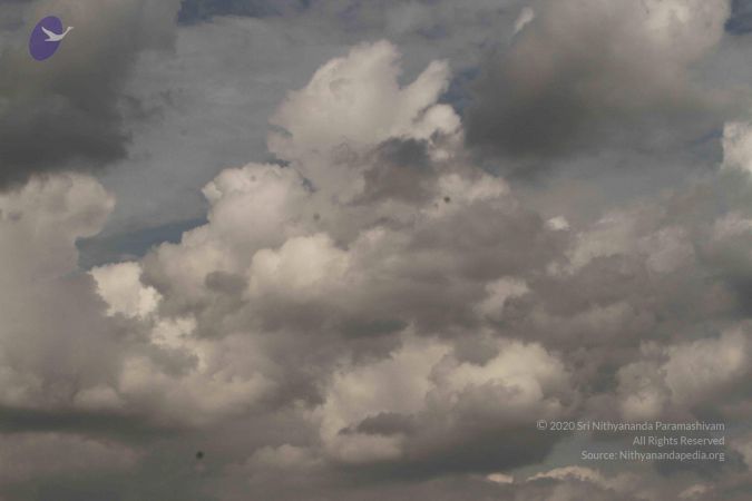 20140913 Photo 1321 1r1NeGv2tBKn3XVNKf2s UFLxo tSIfs1.JPG