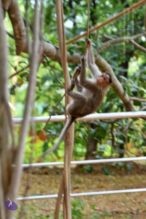 20140914 Photo 1031 1xVPEFXCCr9vnL7J2PO8IwnQy8xOMdbZ9.JPG