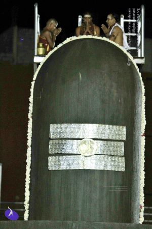 20140915 Photo 1011 1Ur zs2anHm2dDTe0DS4O4RliaIBoX Wz.JPG