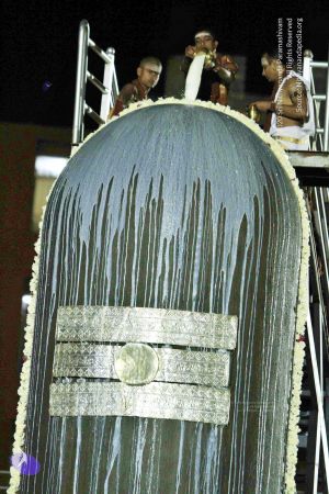 20140915 Photo 1013 1b-LwtnF5uBm3z3GI7Af9SsvlR2xPpmyd.JPG