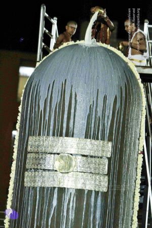 20140915 Photo 1016 1Pbo0jR9Ce6Q1Q8ZpR1cqpCEtIZ1MYIY5.JPG