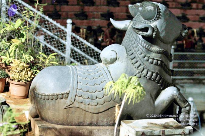 20140915 Photo 1028 1FZXzcu17QJ4N Bs20lhOPISJcakp-wWJ.JPG