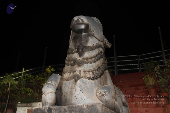 20140915 Photo 1030 1grn h-7FIofe3PQobMOHUiBJC1O2PYgc.JPG