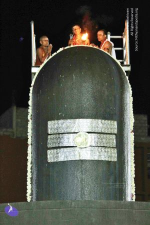 20140915 Photo 1037 1tvSGpkUUHt60yAdNuyF0WdMWa0s0jkjx.JPG