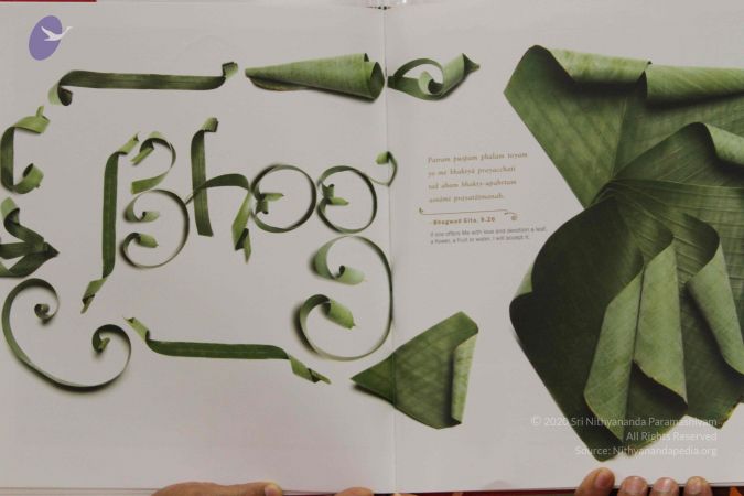 20140915 Photo 1251 1PUoBbz-EZOGYTNDtP-u5BhkArQ5NwTaj.JPG