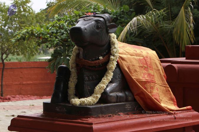 20140916 Photo 1033 10RT0sfx2wVCbgKyxhEbJdQ0PG5LuuHoy.JPG