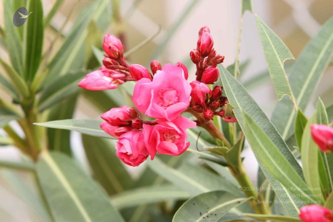 20140916 Photo 1060 1T9lUOA BXdH0NrNeR8ZsSvK6HXb1JL2Y.JPG