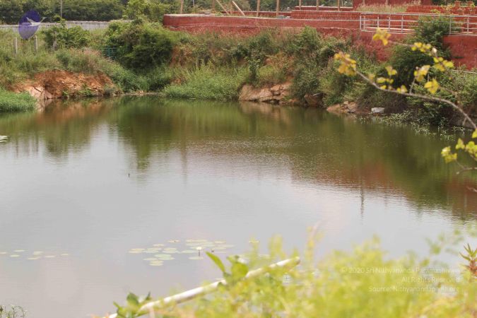 20140916 Photo 1062 1GwJr4Fbmpx5DiQp-sMG09Irrx7Gi6gKh.JPG