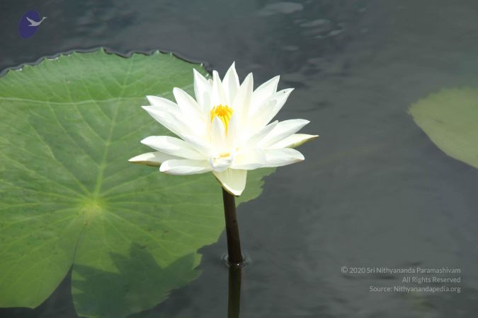 20140917 Photo 1010 1njZ-Xm 52qNr2wevU1Gxv8Sy8wRUI60a.JPG