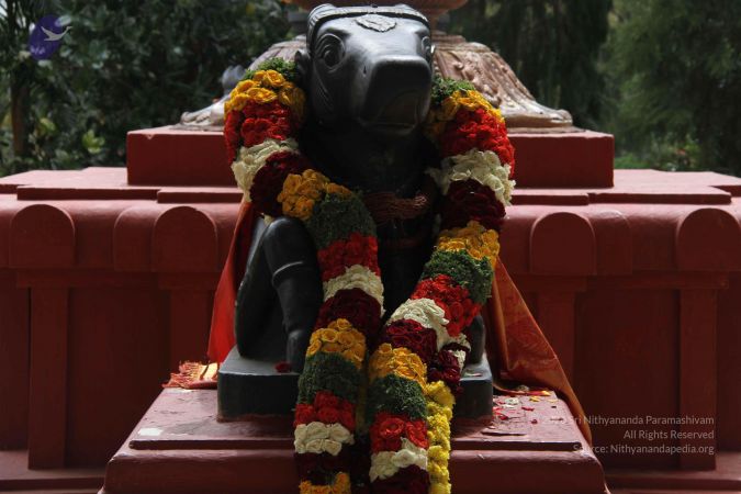 20140917 Photo 1012 1WAVSkbOrtRW2E2Yzrjh789gb1 A90Hj .JPG