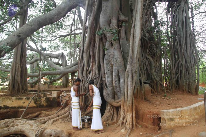 20140917 Photo 1025 15nfZE- JXYjxCaatc5ys7bh9S7VrkPSK.JPG