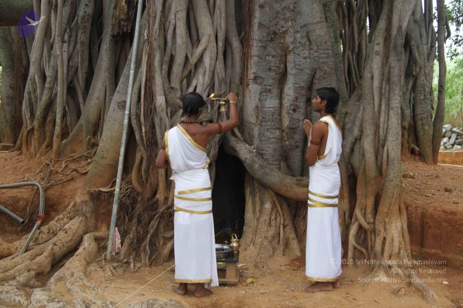 20140917 Photo 1027 1RMUI1Q4OGILFCuGEIsqzTAPGLgYVKj8B.JPG