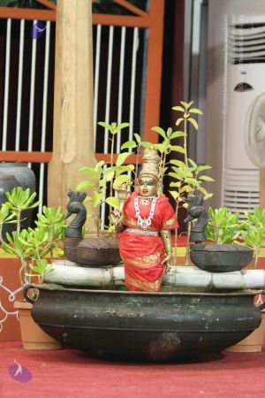 20140920 7590 CMP WM.jpg