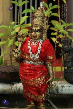 20140920 7692 CMP WM.jpg