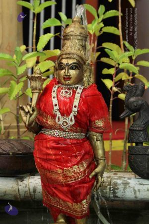 20140920 7693 CMP WM.jpg