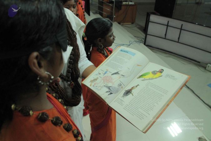 20140921 Photo 1037 1Hu3s8c-ZOWL3 6Q1kRpv284M K9e01GU.JPG