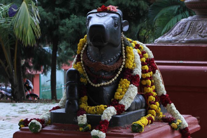 20140921 Photo 1180 1vAw- jNo3g55m0zsKgID1SjLpG71wmRU.JPG