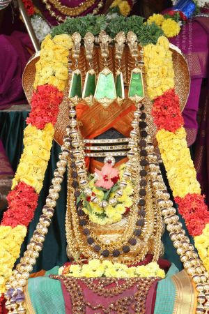 20140921 Photo 1187 153u6nb0ieeg6y6LQCix3iSqtjsZHrGeL.JPG