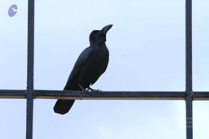 20140921 Photo 1213 1NH1oyOz0m4tgCdV19-xaXy9QVwdIhqgH.JPG