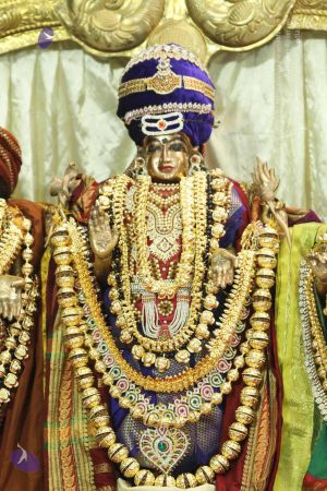 20140922 8140 CMP WM.jpg