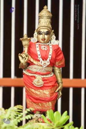 20140922 8392 CMP WM.jpg