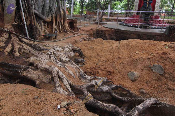 20140922 Photo 1097 1v1Mj7YWf1V0neTIkDL-45ultrJOiYQ0Q.JPG