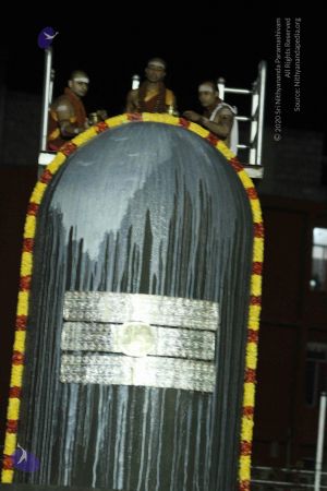 20140922 morepics 8337 CMP WM.jpg