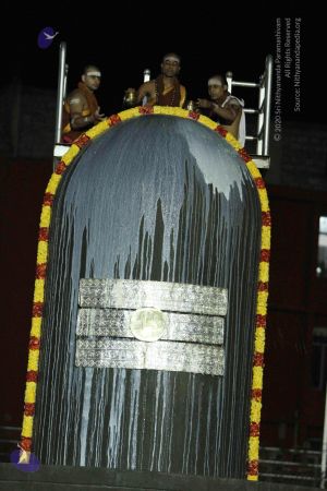 20140922 morepics 8339 CMP WM.jpg