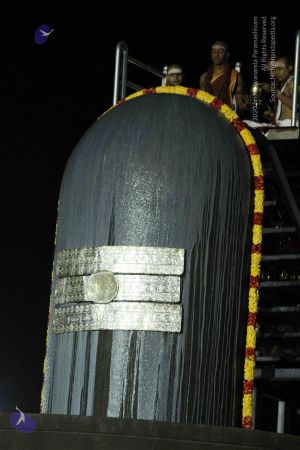 20140922 morepics 8353 CMP WM.jpg