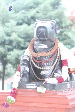 20140922 morepics 8423 CMP WM.jpg