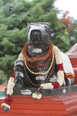 20140922 morepics 8424 CMP WM.jpg