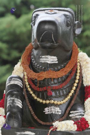 20140922 morepics 8425 CMP WM.jpg