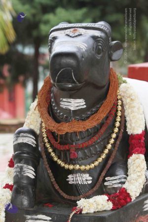 20140922 morepics 8426 CMP WM.jpg