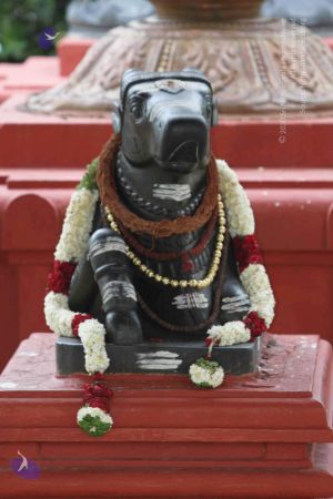 20140922 morepics 8429 CMP WM.jpg