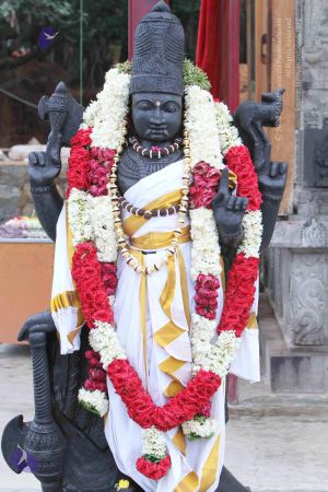 20140922 morepics 8438 CMP WM.jpg