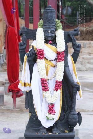 20140922 morepics 8439 CMP WM.jpg