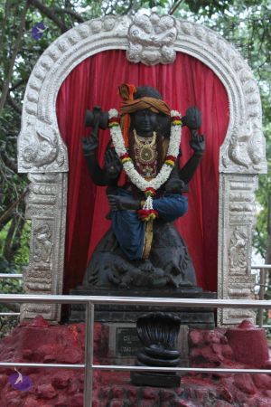 20140922 morepics 8450 CMP WM.jpg