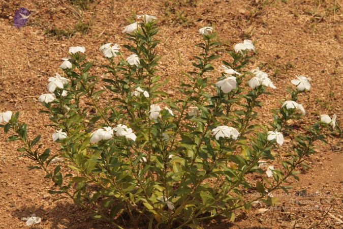 20140923 Photo 1000 1OnUI80iGrvTOo8qoGmJ zEMRKkIIFxd2.JPG