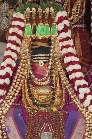 20140923 Photo 1002 1QcCiLn07BPluvHhZ5iC07 7ydlBJHMhu.JPG