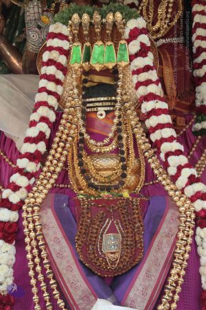 20140923 Photo 1003 1qXAFlWLfbXBbFJnmG9O1euFGzlKyBnCe.JPG