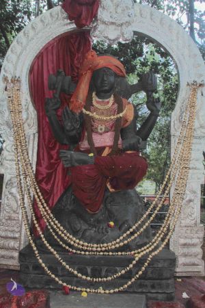 20140923 Photo 1006 1NTwtUVUoH2VIBMKlrgpujdjA-f7RRr N.JPG