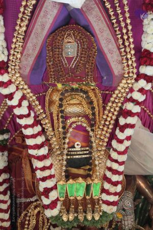 20140923 Photo 1008 1ntTbgjUY5Hxe370SzrQsBd0XafVr5ODa.JPG