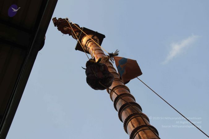 20140926 Photo 1045 1495947gh1psOUMbx68uhvFaLlp3MFY2T.JPG