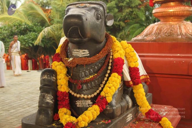 20140926 Photo 1099 1iaaklUtez ot1D7qEmuBWpxbwg2Kuj7y.JPG