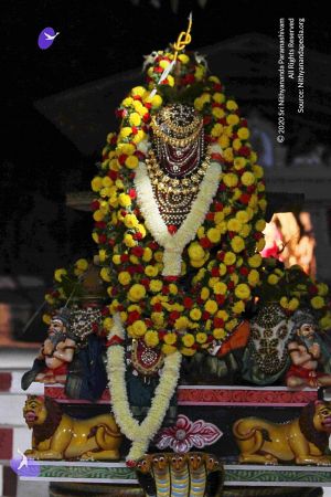 20140928 9580 CMP WM.jpg