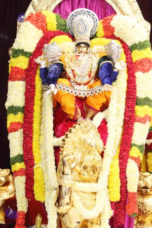 20140928 9592 CMP WM.jpg