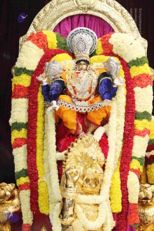 20140928 9594 CMP WM.jpg